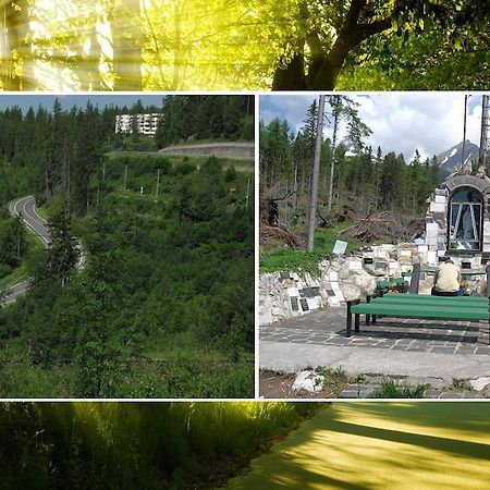 Apartman Solisko Vysoké Tatry المظهر الخارجي الصورة